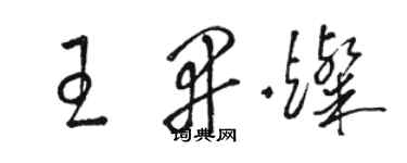 骆恒光王开灿草书个性签名怎么写