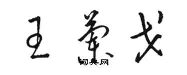 骆恒光王兰戈草书个性签名怎么写