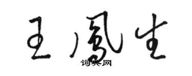 骆恒光王凤生草书个性签名怎么写