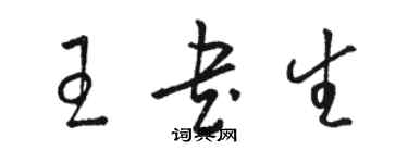 骆恒光王书生草书个性签名怎么写