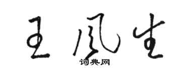 骆恒光王风生草书个性签名怎么写