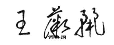 骆恒光王薇丽草书个性签名怎么写
