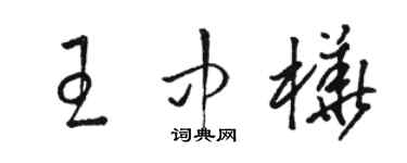 骆恒光王中桦草书个性签名怎么写