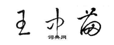 骆恒光王中苗草书个性签名怎么写