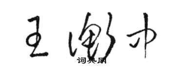 骆恒光王衡中草书个性签名怎么写