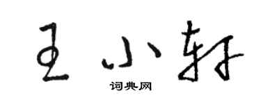 骆恒光王小轩草书个性签名怎么写