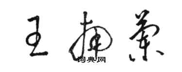 骆恒光王南兰草书个性签名怎么写