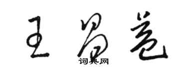 骆恒光王昌益草书个性签名怎么写