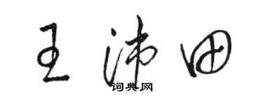 骆恒光王沛田草书个性签名怎么写