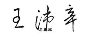骆恒光王沛辛草书个性签名怎么写