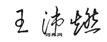 骆恒光王沛燃草书个性签名怎么写