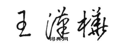 骆恒光王汉桦草书个性签名怎么写