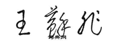 骆恒光王苏非草书个性签名怎么写