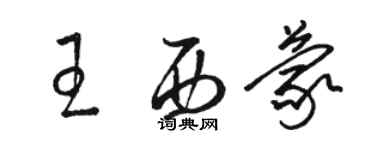 骆恒光王西蒙草书个性签名怎么写