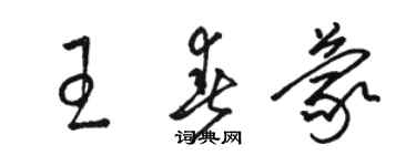 骆恒光王春蒙草书个性签名怎么写