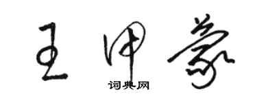 骆恒光王甲蒙草书个性签名怎么写