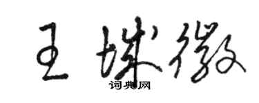骆恒光王城徽草书个性签名怎么写