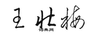 骆恒光王壮梅草书个性签名怎么写