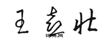 骆恒光王喜壮草书个性签名怎么写