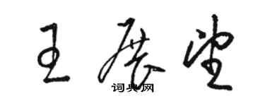 骆恒光王展望草书个性签名怎么写