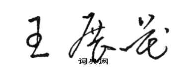 骆恒光王展花草书个性签名怎么写
