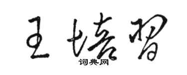 骆恒光王培习草书个性签名怎么写
