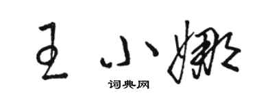 骆恒光王小娜草书个性签名怎么写