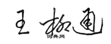 骆恒光王柳通草书个性签名怎么写