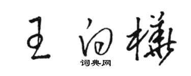 骆恒光王白桦草书个性签名怎么写