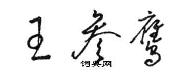 骆恒光王参鹰草书个性签名怎么写