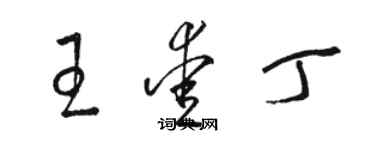骆恒光王爱丁草书个性签名怎么写