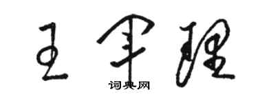 骆恒光王军理草书个性签名怎么写