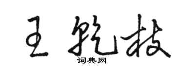 骆恒光王乾枝草书个性签名怎么写