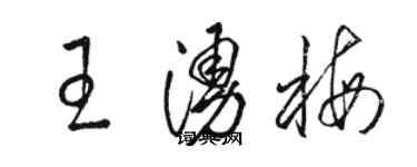 骆恒光王涌梅草书个性签名怎么写