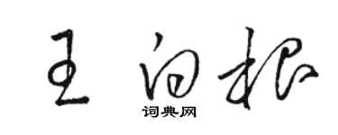 骆恒光王白根草书个性签名怎么写
