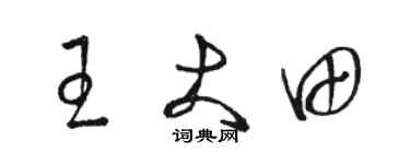 骆恒光王大田草书个性签名怎么写