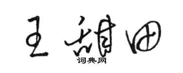 骆恒光王甜田草书个性签名怎么写