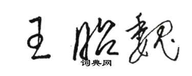 骆恒光王昭魏草书个性签名怎么写