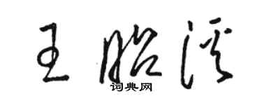 骆恒光王昭溪草书个性签名怎么写