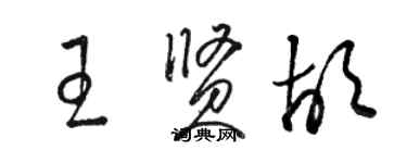 骆恒光王贤胡草书个性签名怎么写