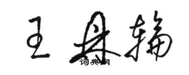 骆恒光王鼎轮草书个性签名怎么写