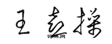 骆恒光王喜操草书个性签名怎么写