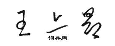 骆恒光王亦昂草书个性签名怎么写