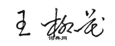 骆恒光王柳花草书个性签名怎么写