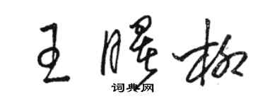 骆恒光王曙柳草书个性签名怎么写