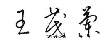 骆恒光王茂兰草书个性签名怎么写