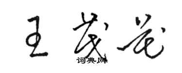 骆恒光王茂花草书个性签名怎么写