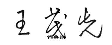骆恒光王茂先草书个性签名怎么写