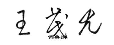 骆恒光王茂尤草书个性签名怎么写