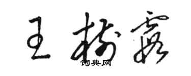 骆恒光王树霞草书个性签名怎么写